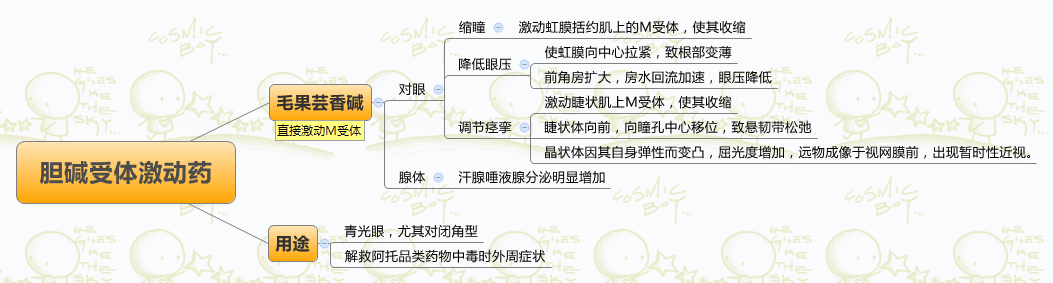 胆碱受体激动药思维导图